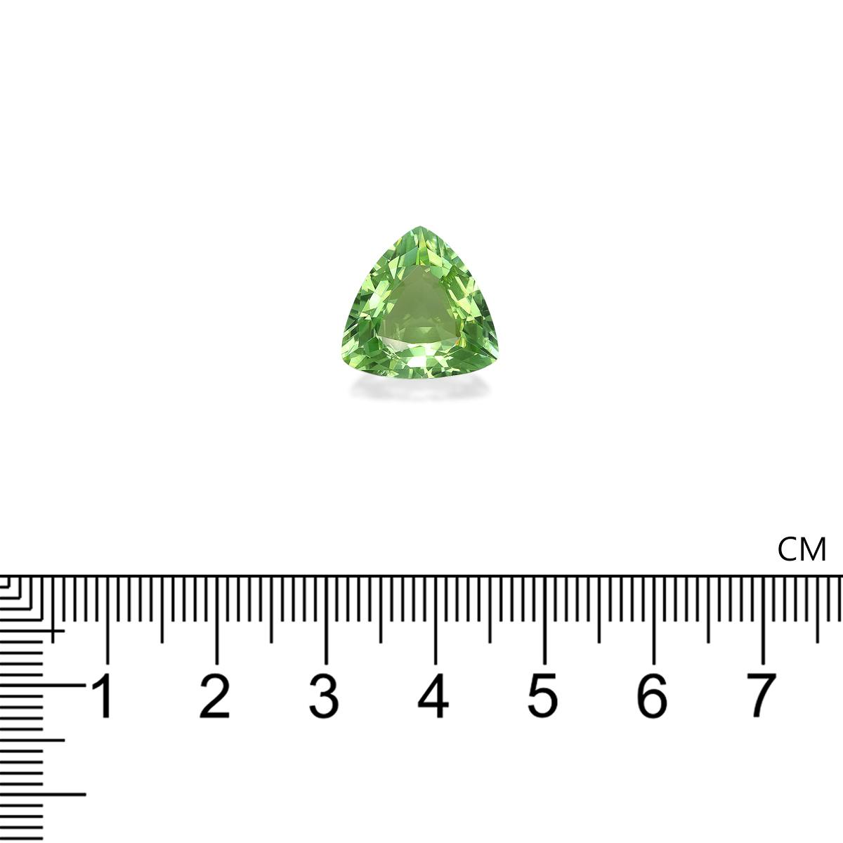 Green Tourmaline 8.00 ct